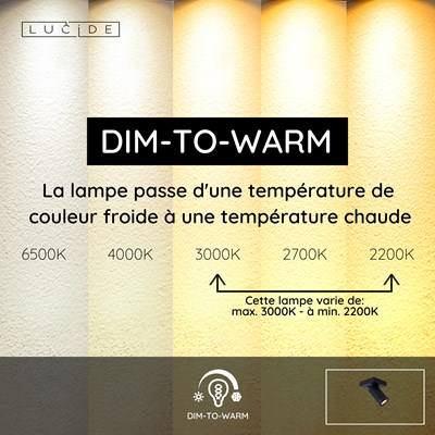 Lucide TAYLOR - Spot plafond Salle de bains - LED Dim to warm - GU10 - 1x5W 2200K/3000K - IP44 - Noir